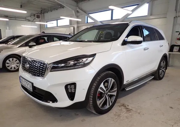 kia sorento mazowieckie Kia Sorento cena 149999 przebieg: 95392, rok produkcji 2019 z Stepnica